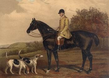 unknow artist Classical hunting fox, Equestrian and Beautiful Horses, 192. oil painting image
